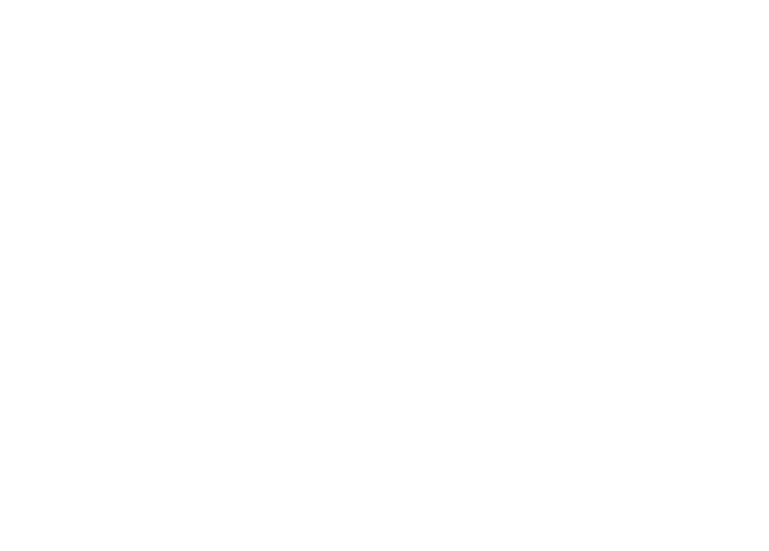 logo-footer