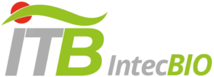 logox2